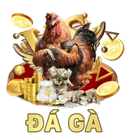 Biểu tượng hướng dẫn cá cược nn88 bet